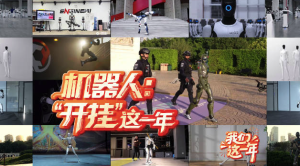 中国人形机器人开挂这一年