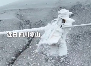 海拔3300米 看“小黄人在线吃冰”