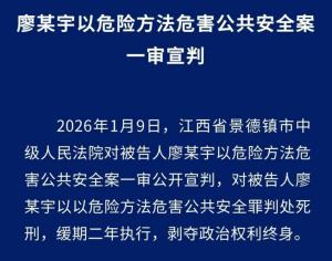 廖某宇的犯罪心态系间接故意 一审被判死缓