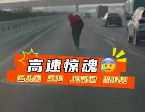 小米车主高速应急躲避救人