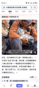 1天被游客带下山3次小猫已戴吊牌 善意的“甜蜜负担”