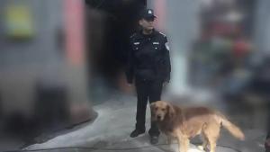 四川达州开出全市首张遛狗不拴绳罚单 养犬责任不容忽视