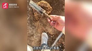 博物馆回应居民上交疑似文物获奖200元 工地挖出战国青铜剑