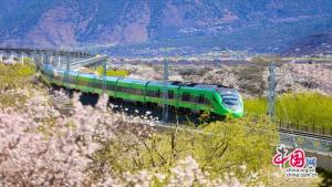 今年春运2月2日启动 40天春运大幕拉开