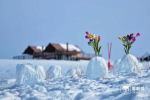 老同事追忆贺娇龙：她很拼，从草台班子到网红干部