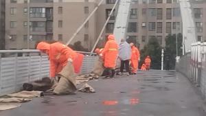 武汉启动低温雨雪冰冻灾害应急响应 24小时值守保安全