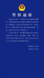 警方通报鄱阳湖野生动物被投毒 全面排查清理中