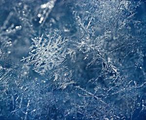 为何没有两片完全相同的雪花 独特分子布局造就