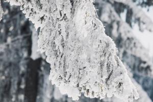 济南的暴雨梨花针南京接住了 冰针雪背后的气象秘密
