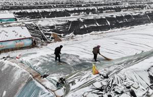 本轮寒潮何时结束？气象专家给出预判 21日后气温逐步回升