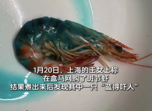 女子称盒马网购虾煮熟渗出蓝色液体 盒马客服回应