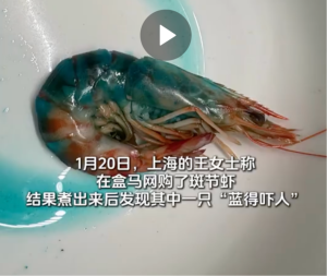 女子买虾煮熟后渗出蓝色液体 盒马回应称与养殖环境有关