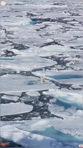 火过白银！北极寒流冲击北半球 美国天然气两天暴涨近60%