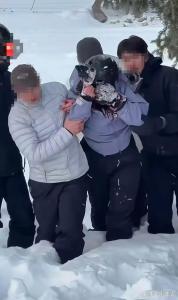 媒体：雪豹伤人事件引发安全警示 敬畏自然界限