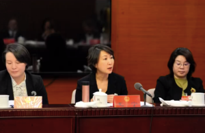 毛宁赞北京社区食堂 毛宁上北京两会提了2个建议