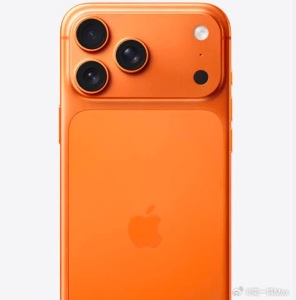 橙色会成为今年配色新宠吗？