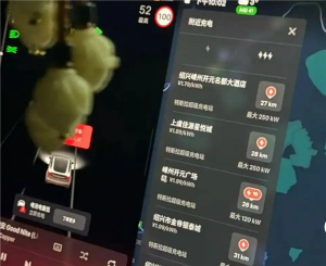 女子续航72公里高速上全车断电 绝望一幕引热议