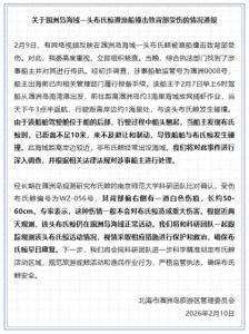 官方通报鲸鱼遭渔船撞击致背部受伤 涠洲岛布氏鲸受伤引关注