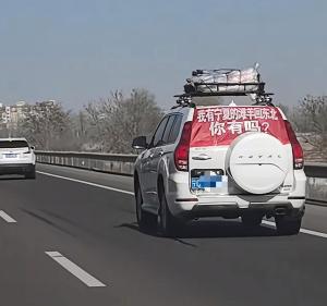 女子将羊放车顶从宁夏拉回黑龙江 家乡味的温暖旅程