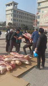 学校给学生发半扇猪整只羊 实物奖励暖人心