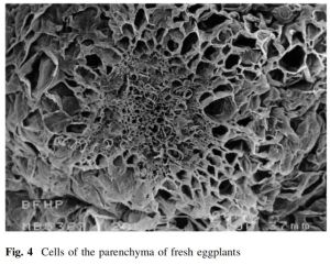 这些素菜其实都是吸油大户 警惕高油陷阱