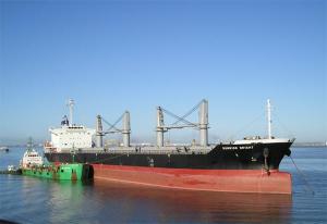 外媒：一艘货船通过霍尔木兹海峡，标注“中国所有”！ 特殊信号避险通行