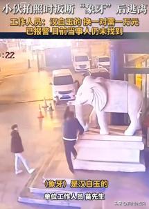 男子拍照扳断“象牙” 总造价1万元 景区损失惨重