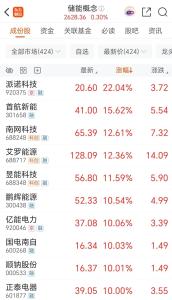 AI驱动电力行情走强 储能迎三重驱动