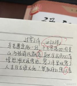 刘文祥麻辣烫吃出的后遗症：刘文祥过完零丁洋得坨