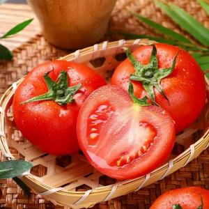 西红柿为啥不甜？委员热议吃饱到吃好