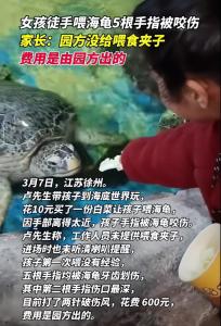 女孩徒手喂海龟5根手指被咬伤 家长呼吁加强安全措施