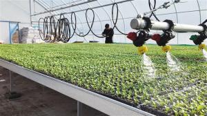 春耕农忙正当时 全市春播有序推进