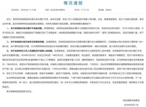 村民反映路灯不亮遭威胁后续 官方调查回应