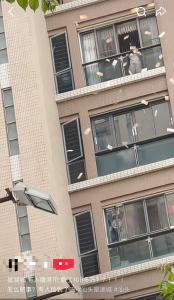 网传汕头一小区有人撒100多万港币 居民争抢飘落钱币