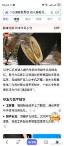 小伙回应深夜敲冬瓜月入十万 十年磨一剑成就辨瓜高手