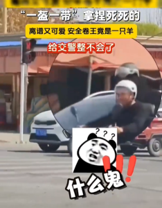 羊也戴上安全帽 给交警整不会了 “一盔一带”拿捏死死的