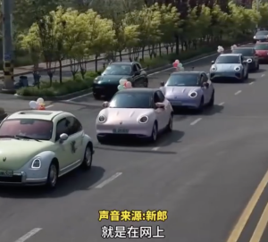 新娘发文征集婚车队 36位车主助阵，从四面八方赶来为新郎接亲