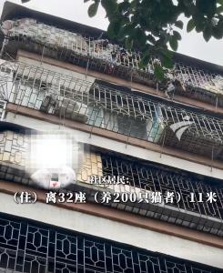 居民反对装电梯 养200只猫报复邻居 极端行为扰民