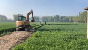 当地回应乡村河道成“牛奶河” 管网破损已抢修