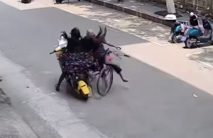 未成年人驾电车逆行撞倒骑行老人 交警提示