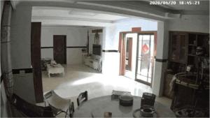 杭州女子家中惊现三条大蛇 消防迅速处置