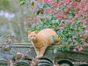 家属回应男子在同学家中砍人 案件延期引发争议