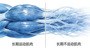 长期不运动的人如何科学运动 避免“一身伤”