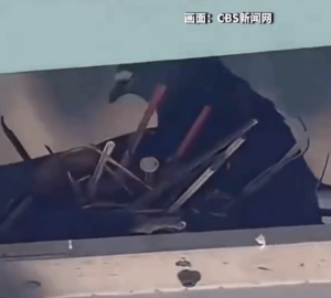 美国鸽子用流浪者用过的毒品针头筑巢 城市生态警钟
