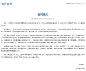3所985高校接连被曝学术不端 知名学者卷入风波