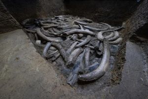 三星堆考古发现“神秘器物” 首次出土陨铁器