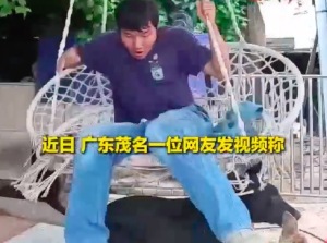 吓出冷汗！男子坐吊椅刷手机毒蛇从天而降 狗狗看到狂叫