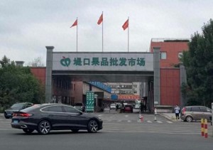 福建杨梅事件波及济南市场 商户：不敢进杨梅了
