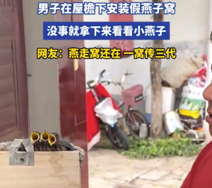 男子在屋檐下安装假燕子窝 网友：燕走窝还在，一窝传三代