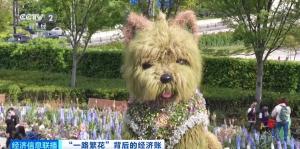潦草小狗带火20亿元商圈 花卉节催热新业态